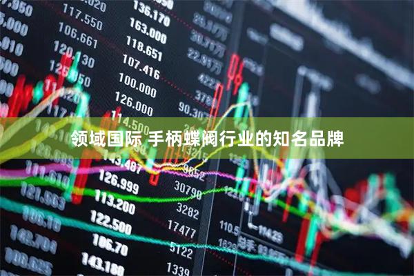领域国际 手柄蝶阀行业的知名品牌