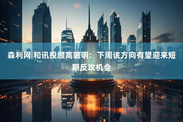 森利网 和讯投顾高璐明：下周该方向有望迎来短期反攻机会