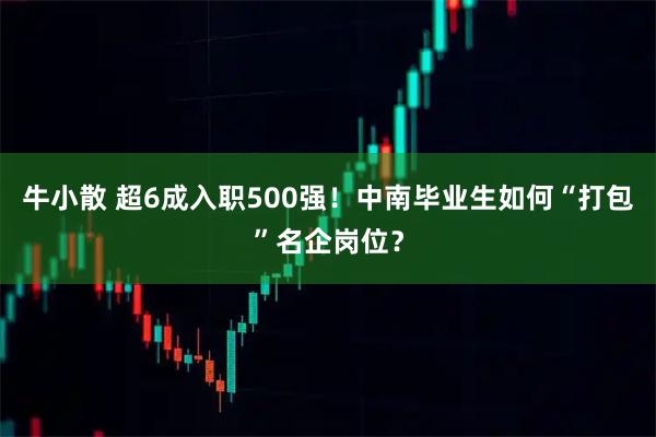 牛小散 超6成入职500强！中南毕业生如何“打包”名企岗位？